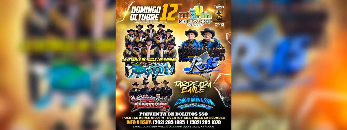 BANDA MAGUEY, BANDA R-15, TIRANOS & MAS