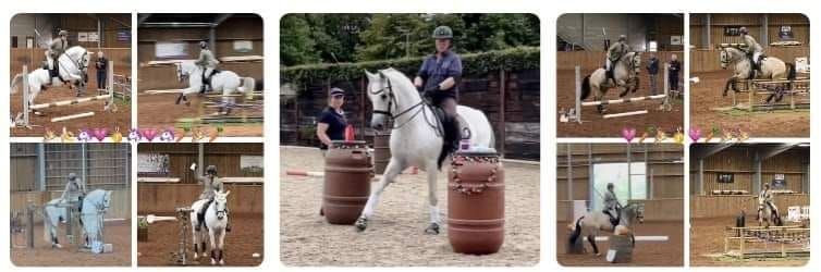 Working Equitation Lessons 