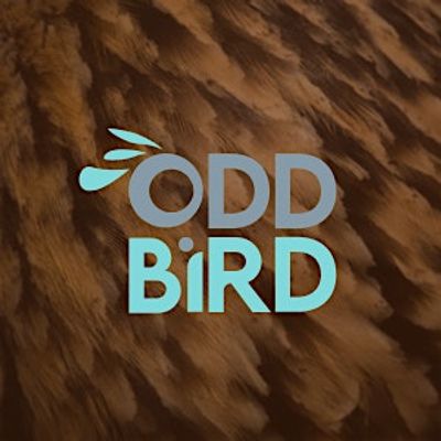 OddBird Coaching & Events