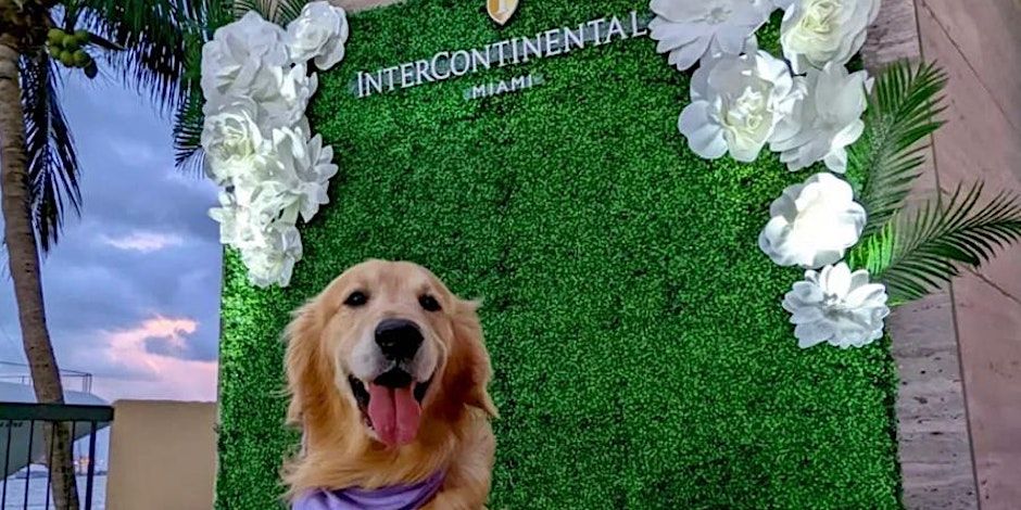 InterContinental Miami Weekly Paws Patio