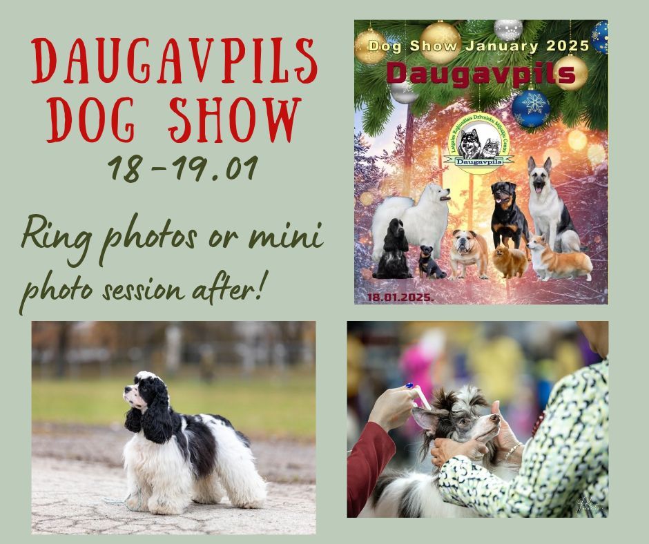 \ud83c\uddf1\ud83c\uddfb Daugavpils dog show 18-19.01 \ud83c\uddf1\ud83c\uddfb 