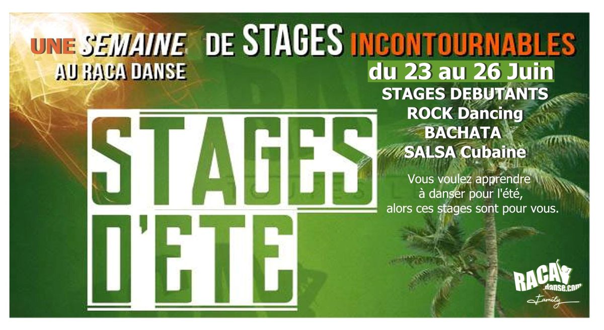 STAGES d'ETE  "d\u00e9couverte" Rock Bachata Salsa Annecy