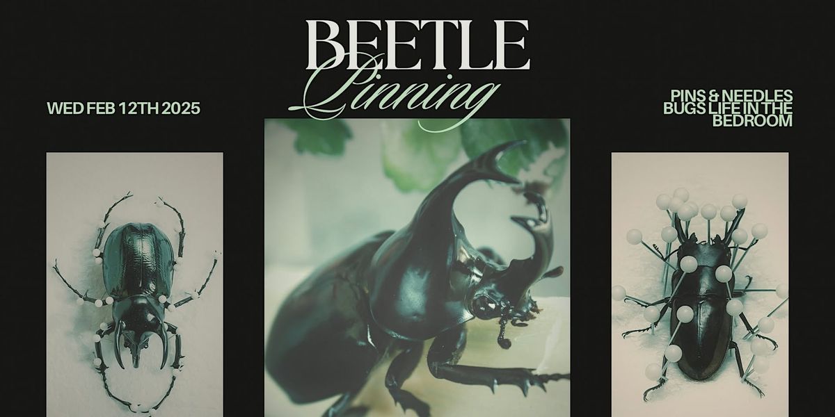 Special Edition: Beetle Pinning Workshop