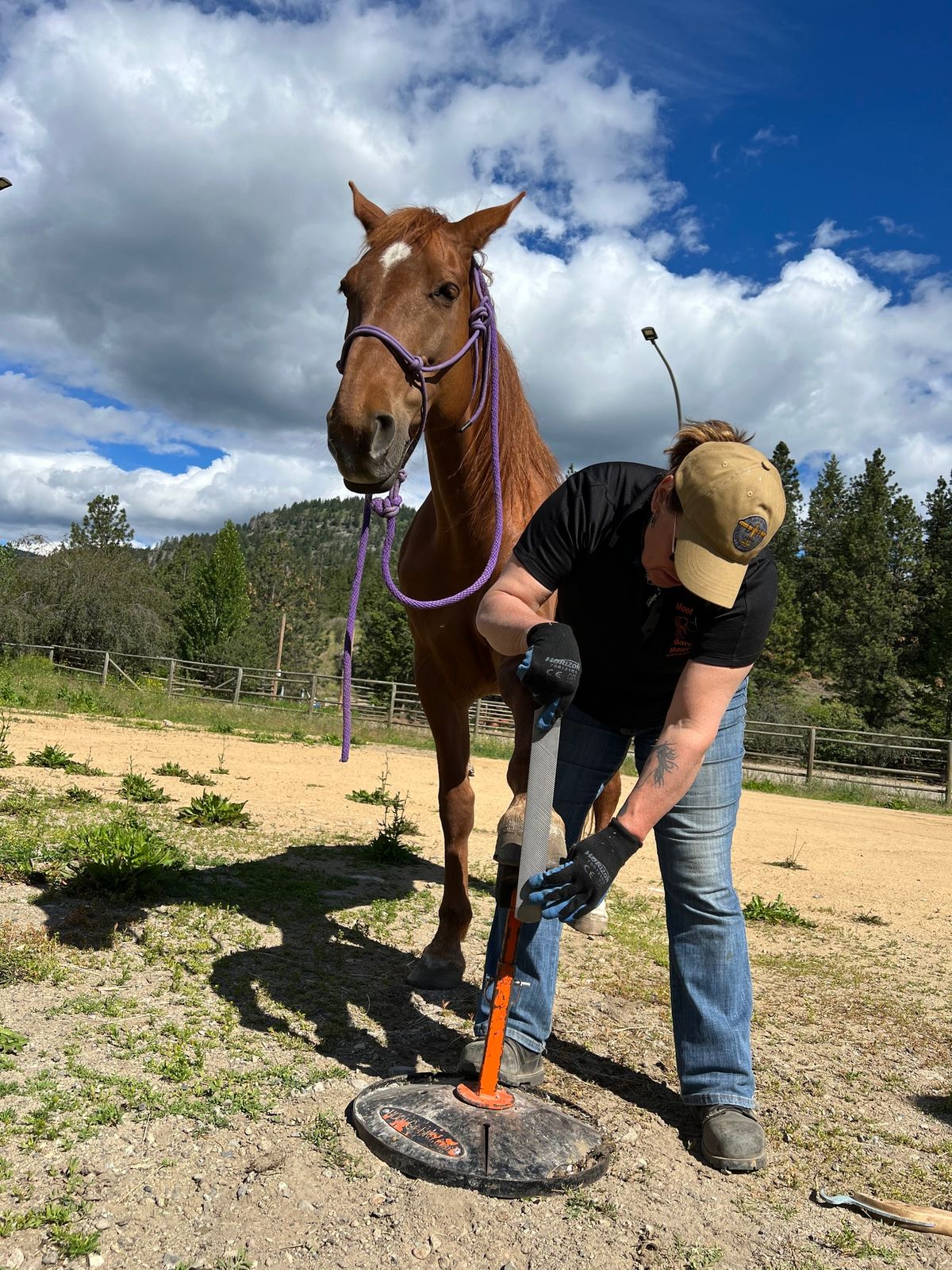 Hoof Trimming Clinic - St. Andrews MB - May 8-11, 2025