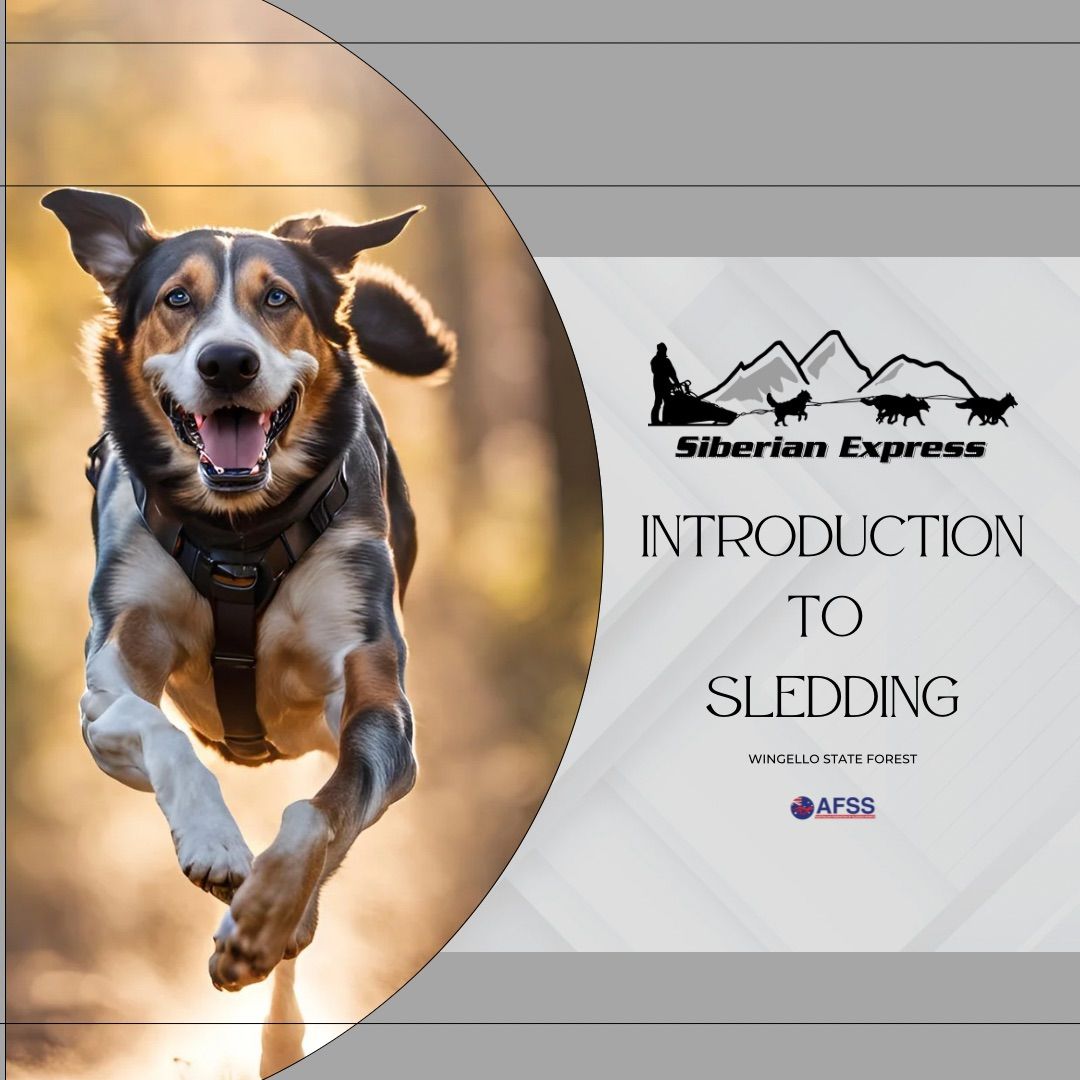 Introduction to Sledding