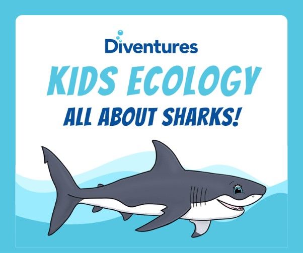 Kid's Ecology Course - All About Sharks!