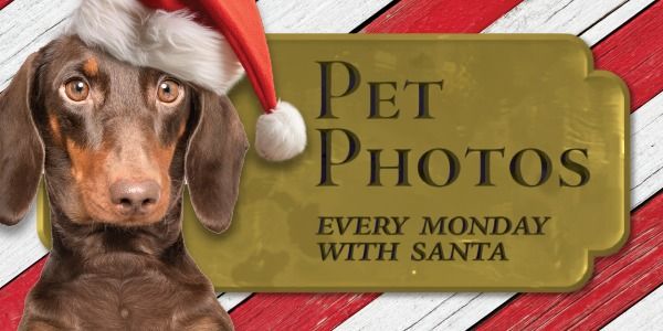 Pet Photos with Santa