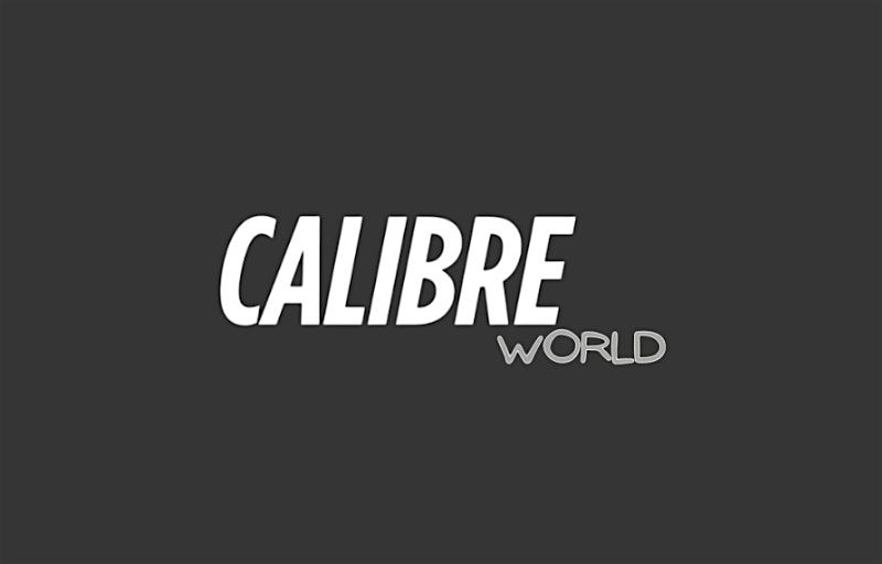 Calibre World: End Of Year Link Up