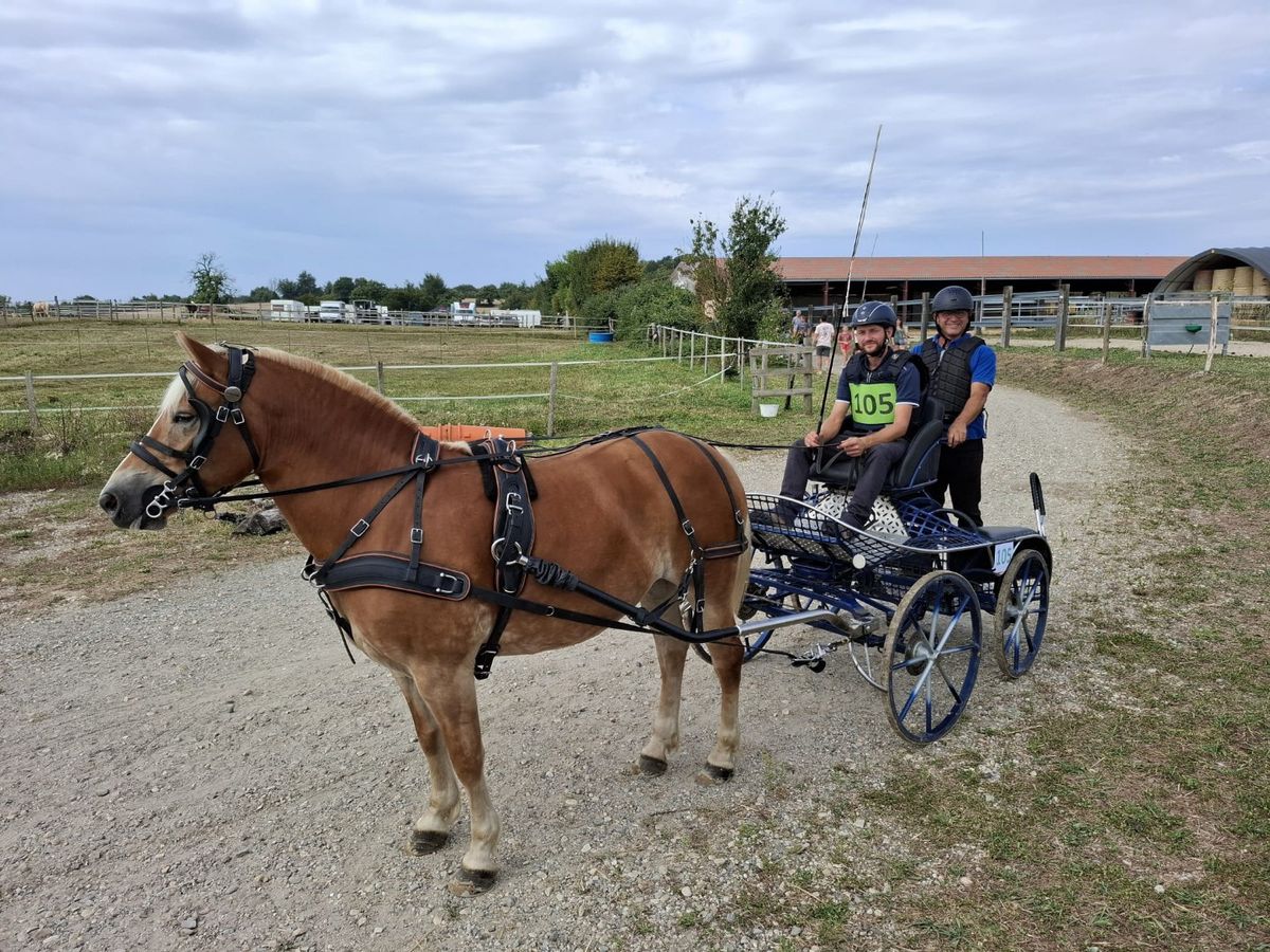 Trec et concours d\u2019attelage 