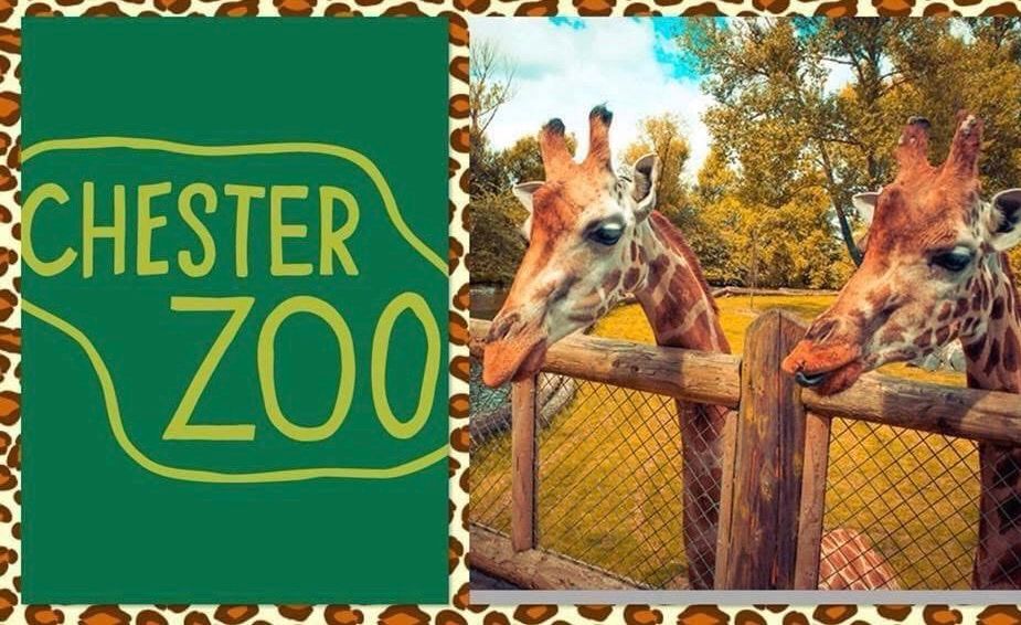 Coach trip to Chester Zoo from Mansfield and Ashfield 