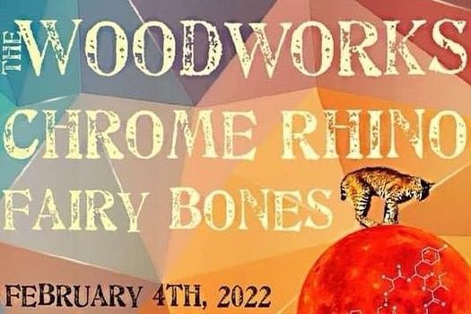 The Woodworks + Chrome Rhino + Fairy Bones at Last Exit Live