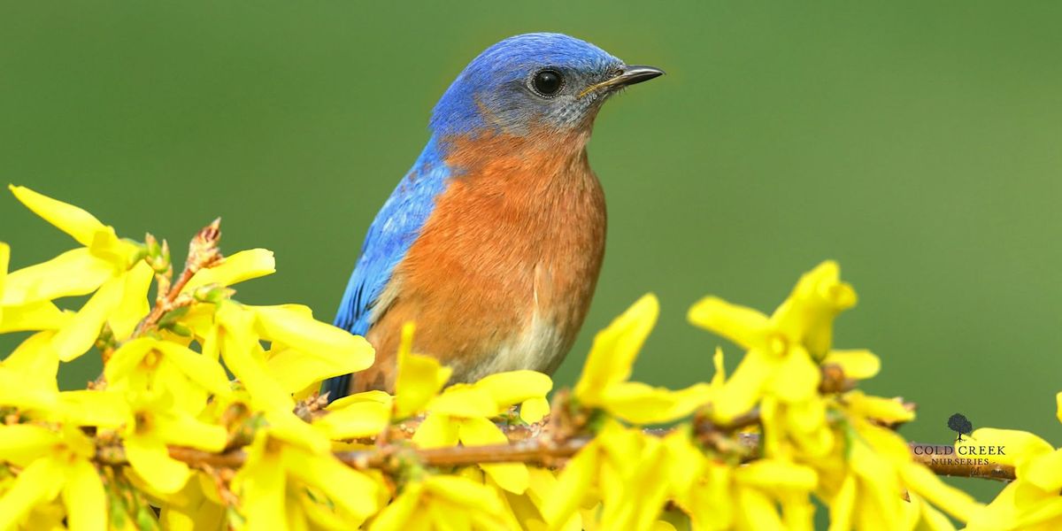 Bluebird Seminar with the South Carolina Bluebird Society