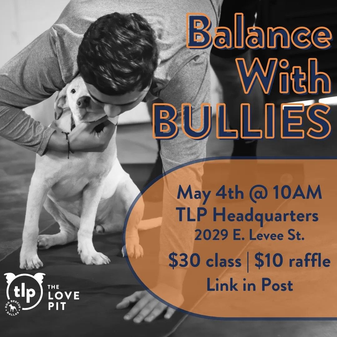 Balance with Bullies - Yoga Class