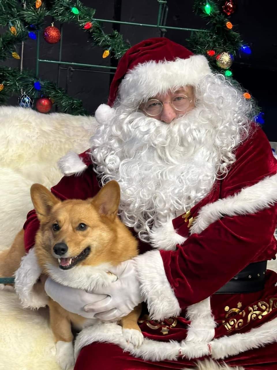 Santa and furry friends 