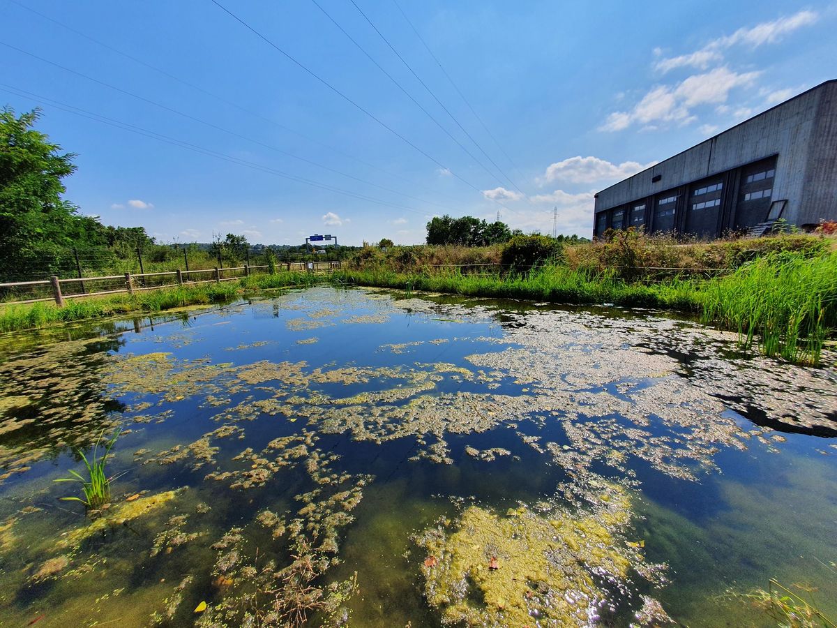 Visite du CITEAU