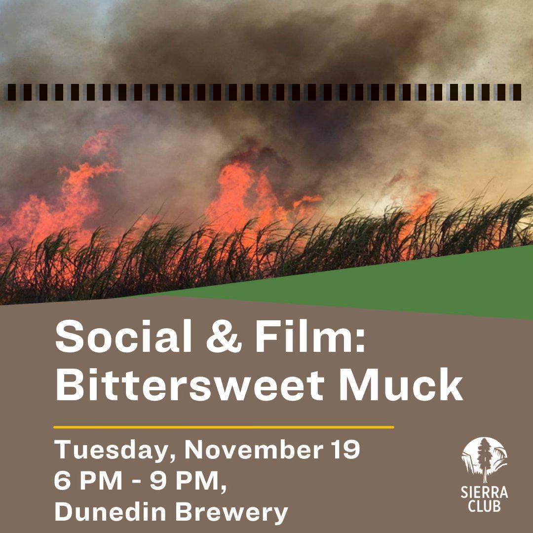 Social & Film: "Bittersweet Muck"