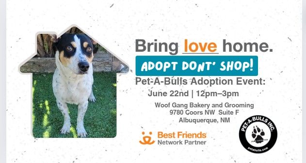 Pet-A-Bulls BRING LOVE HOME Adoption Event