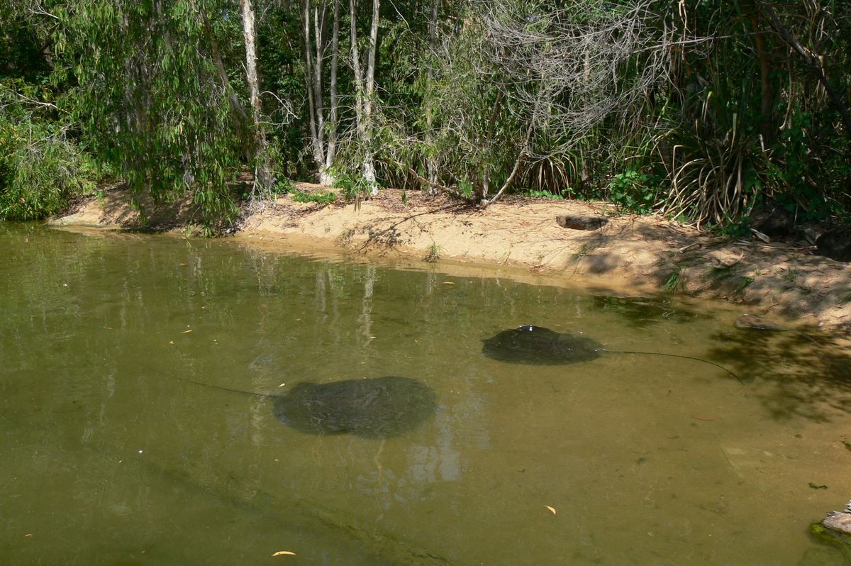 Friends of Territory Wildlife Park - Oolloo Sandbar Clean Up