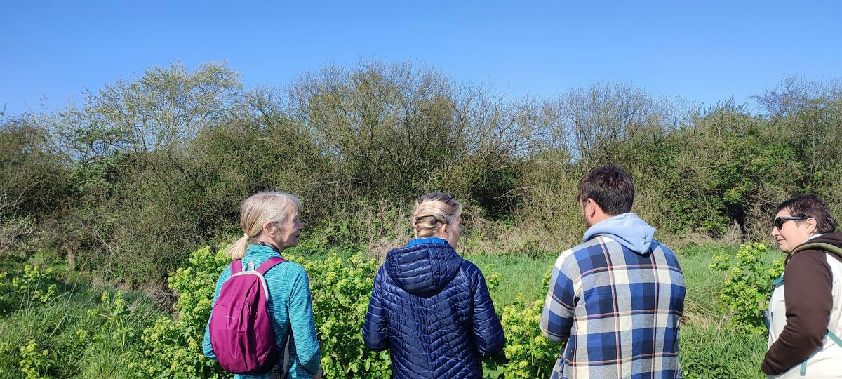 Birdwise East Kent Big Garden BirdWatch