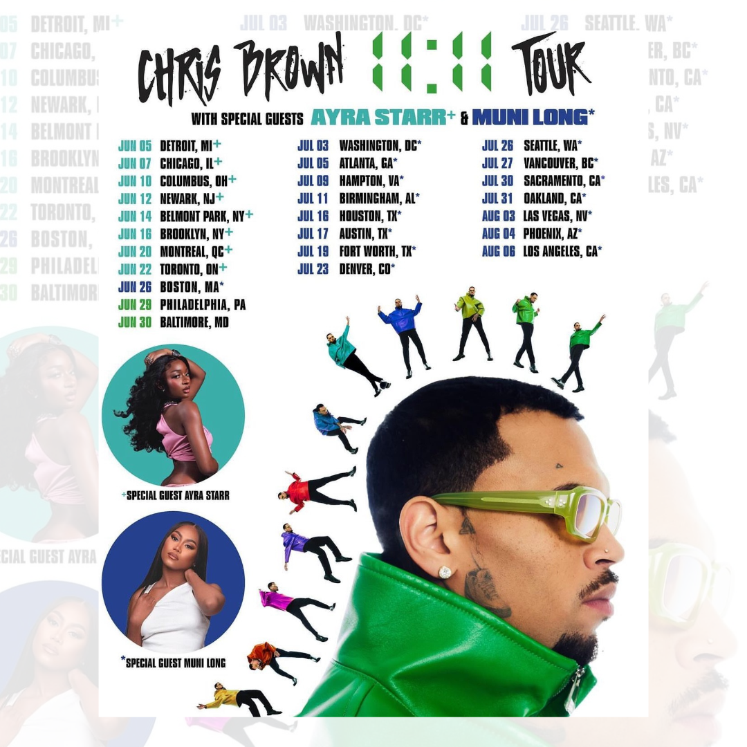 Chris Brown at Protective Stadium