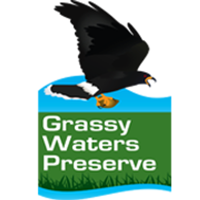 Grassy Waters Preserve