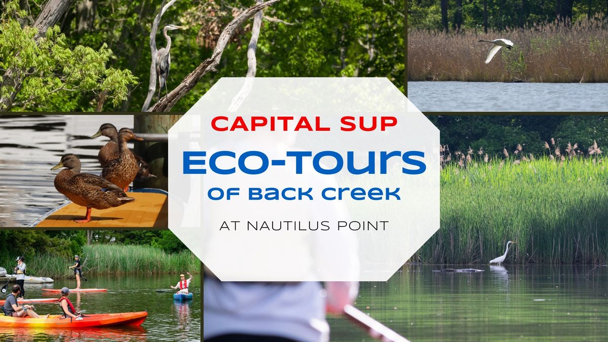 Eco Tours on Back Creek