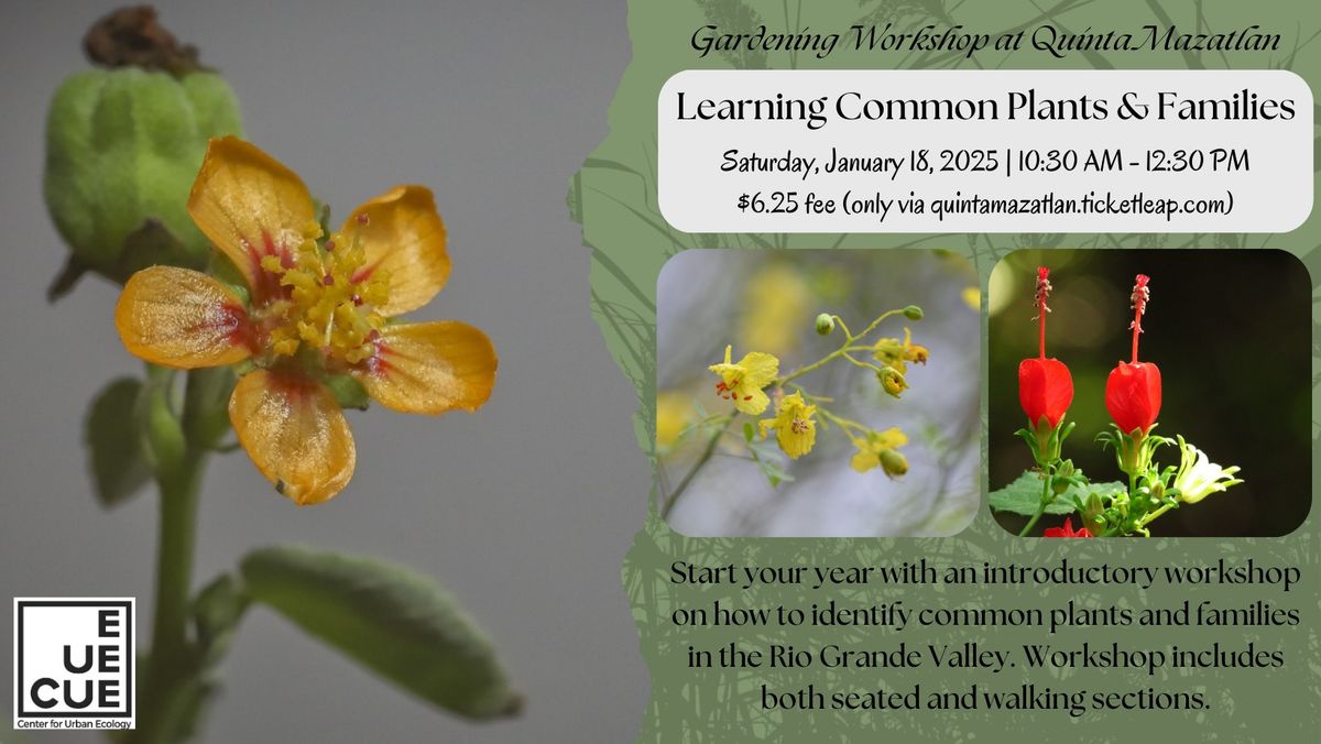 Learning Common Plants & Families