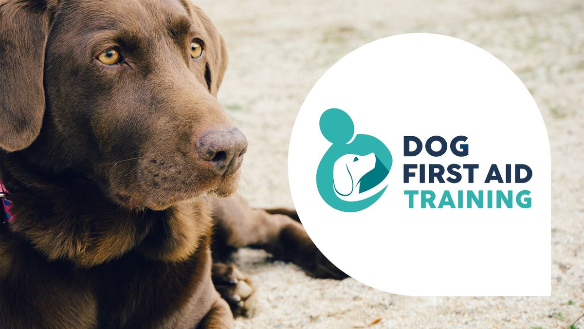 Dog First Aid Training - Whittington Village Hall \/ Lichfield- \u00a359.50