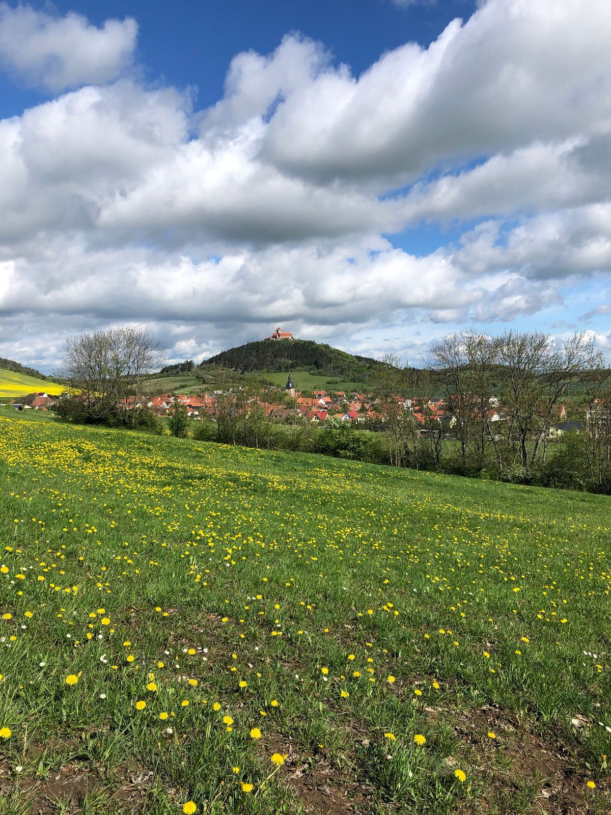 B\u00fcrgerdialog Mittelth\u00fcringen: Zukunft der Energieversorgung und Gemeindegestaltung 