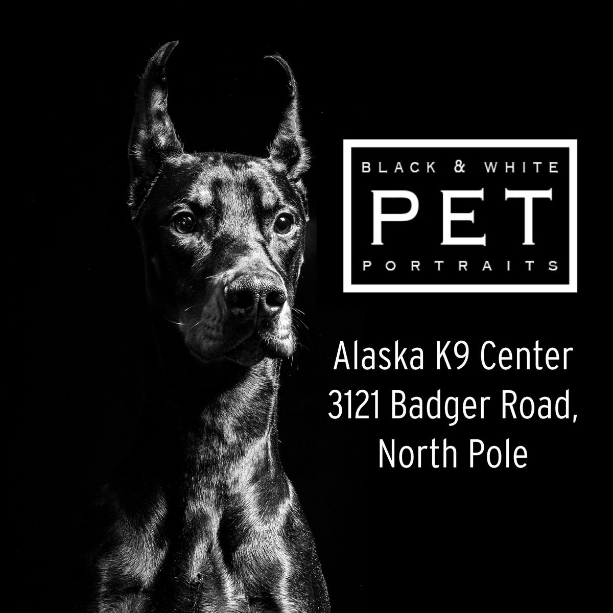 B&W Pet Portraits