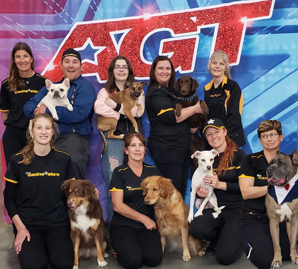 The Canine Stars Stunt Dog Show at St George Theatre