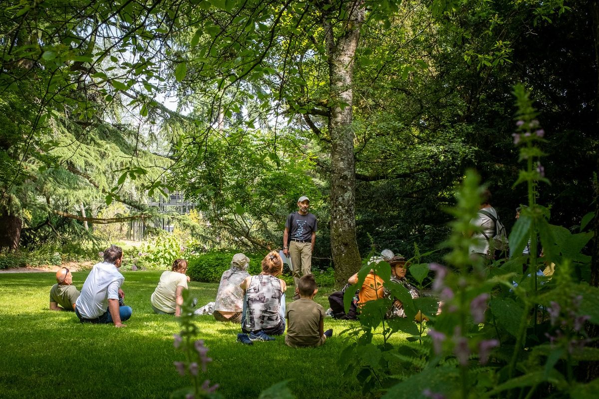 Conf\u00e9rence : Une pharmacie vivante au Jardin botanique alpin -> actualit\u00e9s sur les plantes