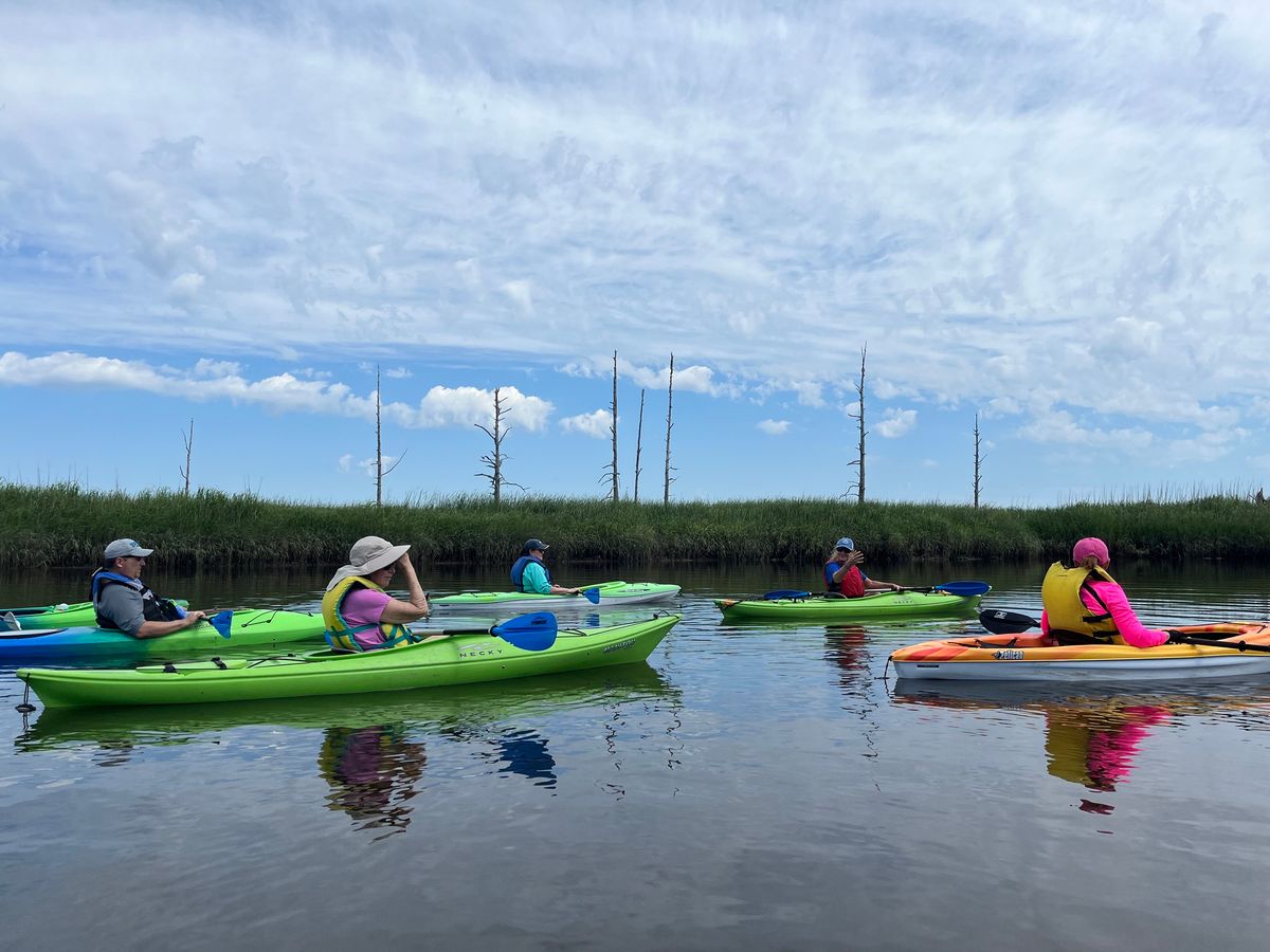 Kayak Adventures - Eagle's Island Paddle on 3\/14