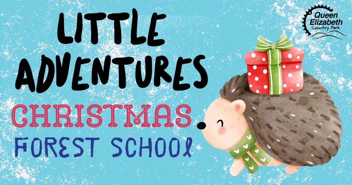 Little Adventures Christmas Forest School!