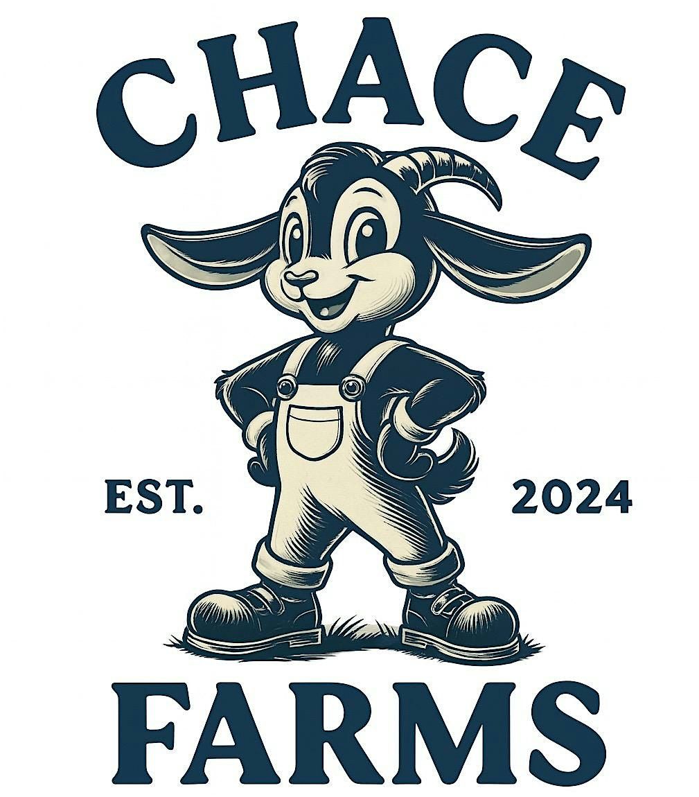 CHACE The Dream Webinar