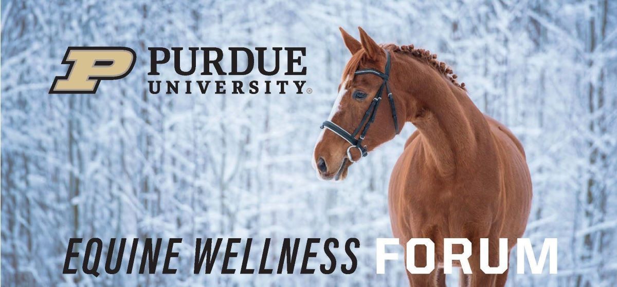 Equine Wellness Forum