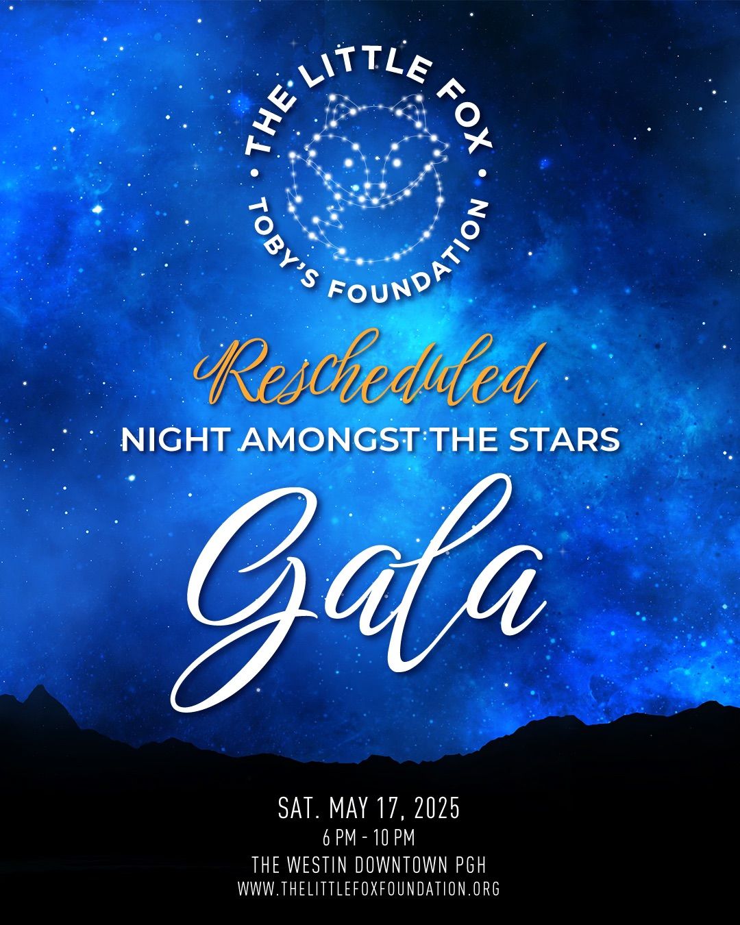 Night Among the Stars Gala 