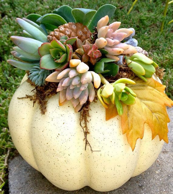 Ghouls & Gourds - A Succulent Pumpkin Workshop at Propagate Social House