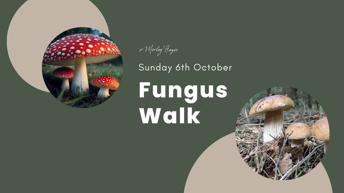 Fungus Walk 