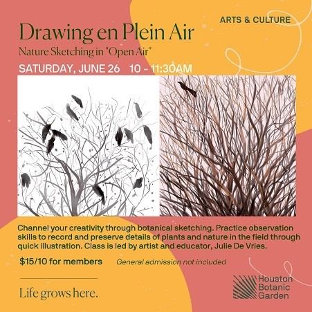 Drawing en Plein Air: Nature Sketching Outdoors