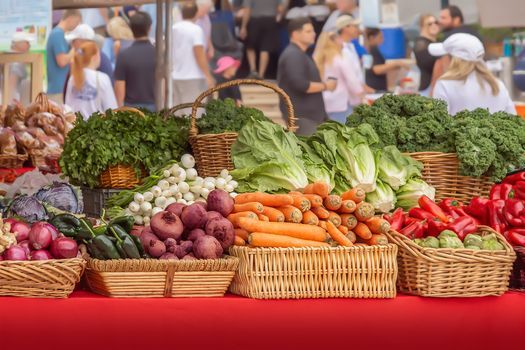 WIC Farmer's Market Check Distribution