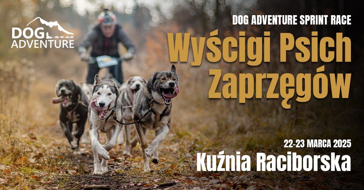 Dog Adventure Sprint Race - Mi\u0119dzynarodowe Wy\u015bcigi Psich Zaprz\u0119g\u00f3w