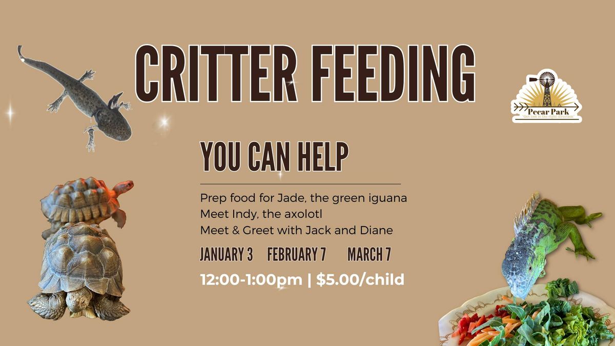 Critter Feeding