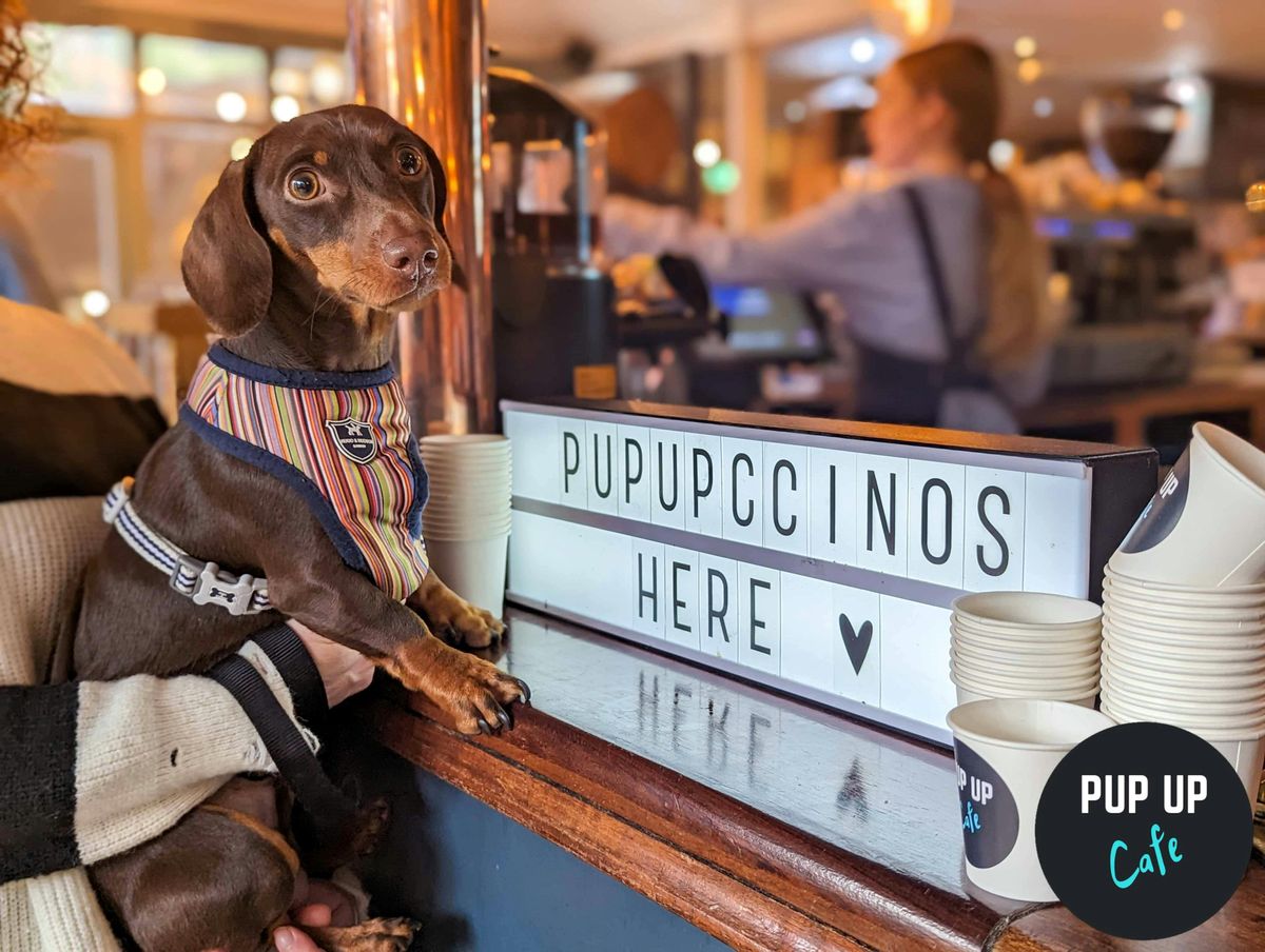  Dachshund Pup Up Cafe - Manchester