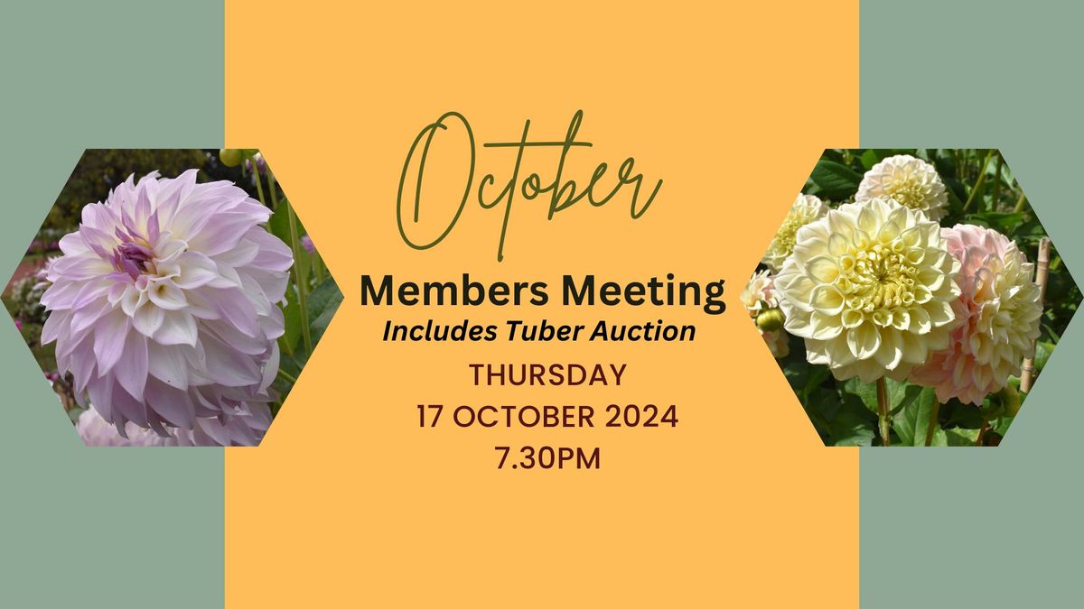 October 2024 - Members Meeting