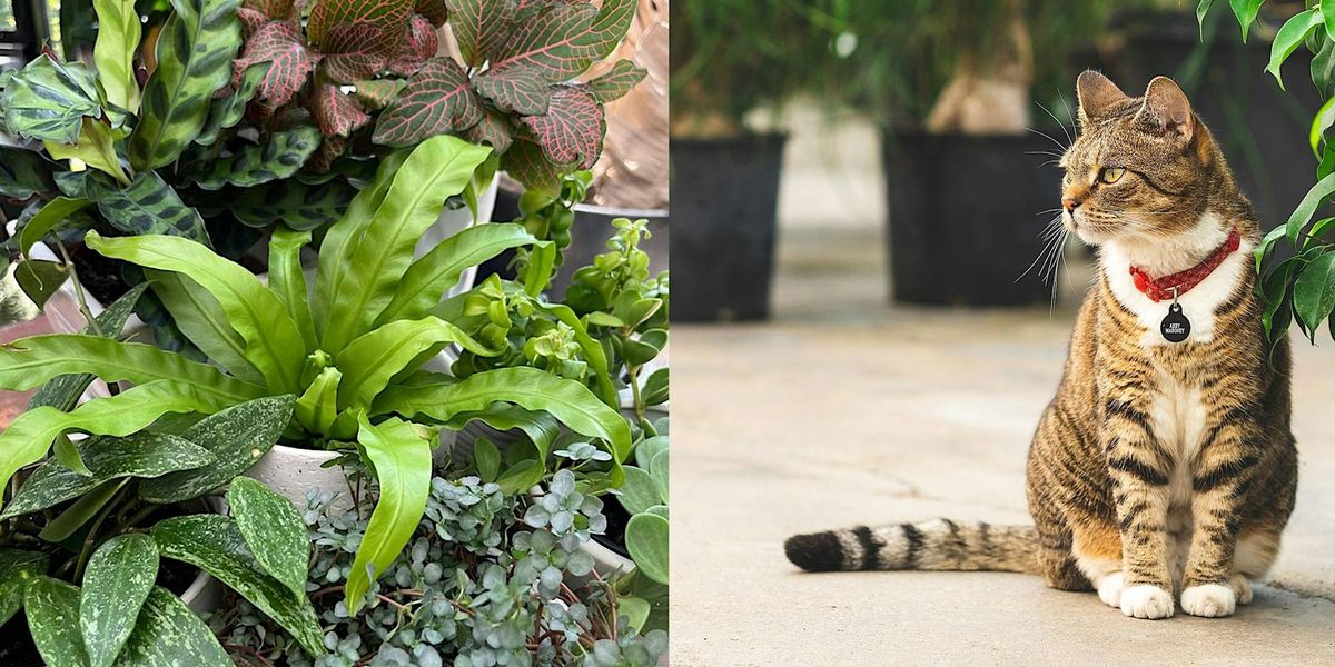 Sundays with Sara: Pet Friendly Houseplants