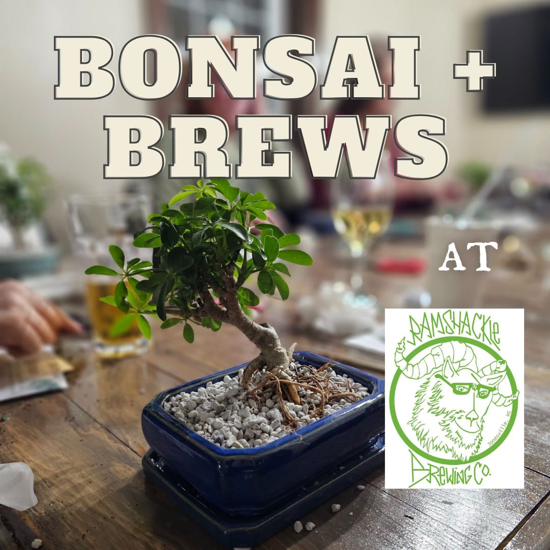 Bonsai + Brews at Ramshackle Brewing Company 