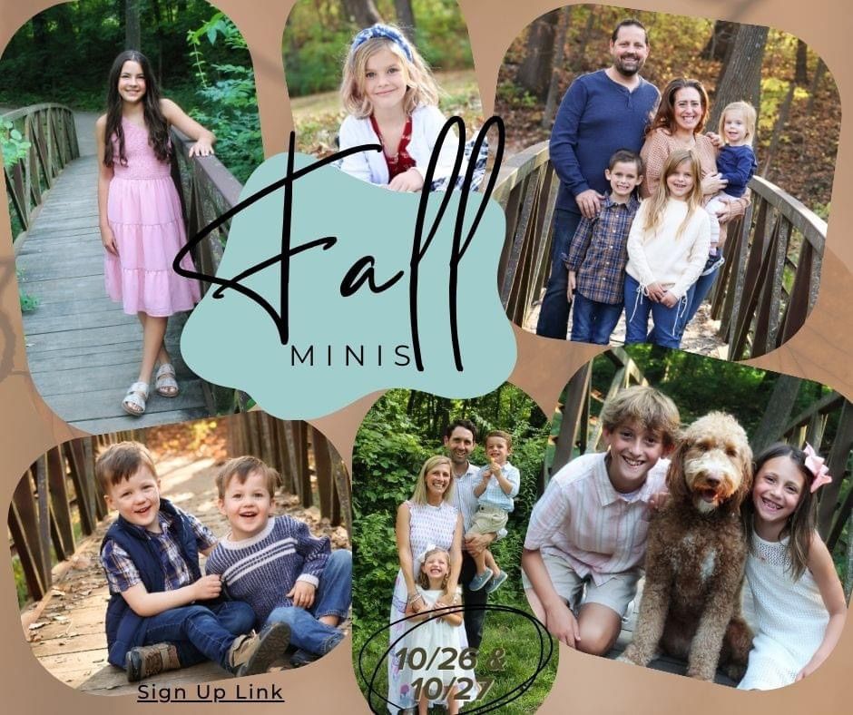 Fall Minis