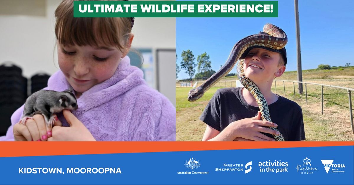 Ultimate Wildlife Experience