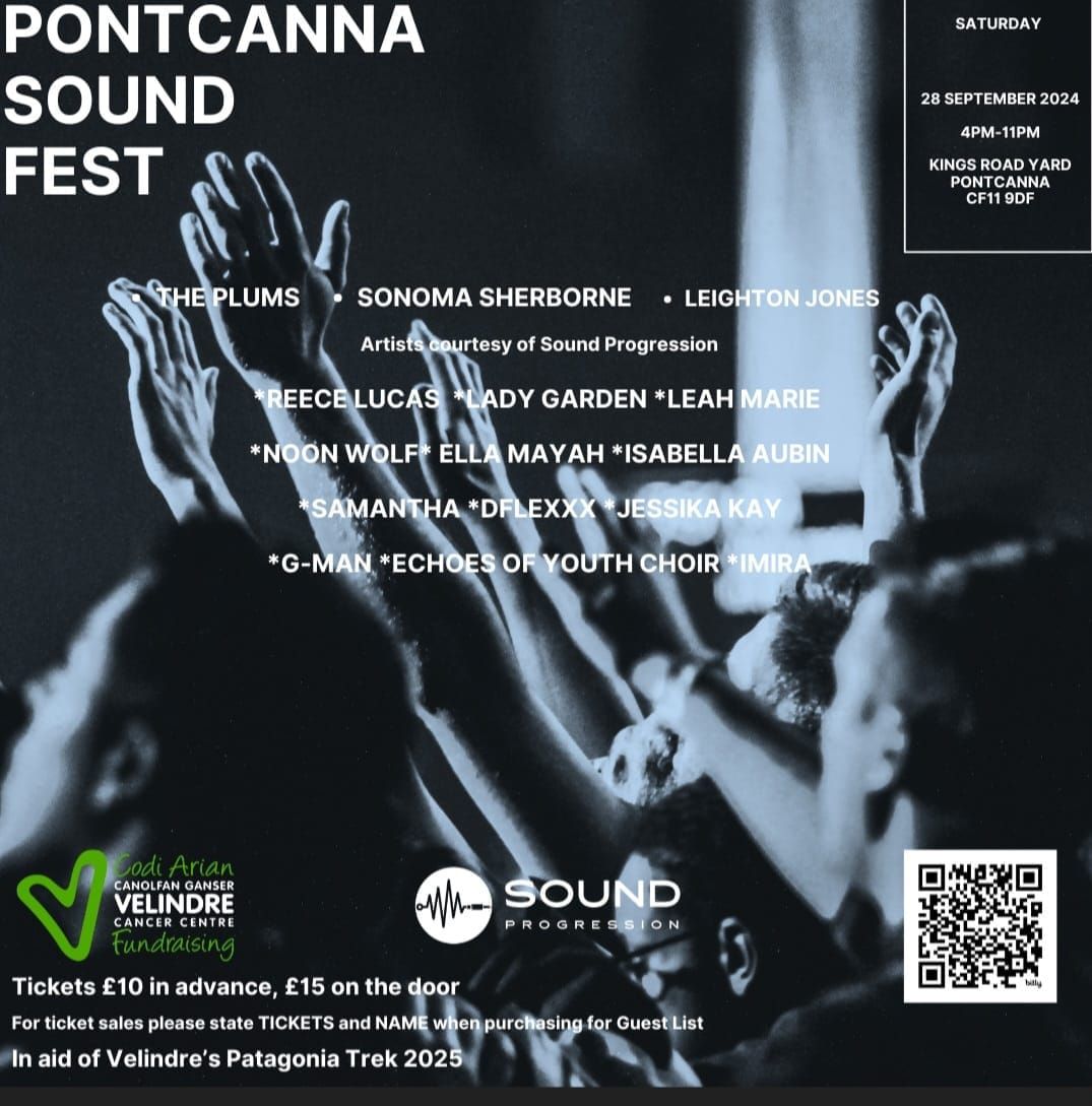 Pontcanna Sound Fest 